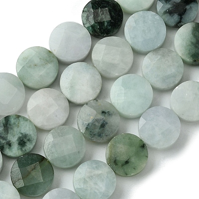 Natural Myanmar Jadeite Beads Strands G-A092-A01-02-1