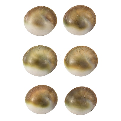 Sea Shell Stud Earrings EJEW-JE07325-1