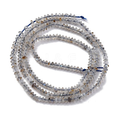Natural Labradorite Beads Strands G-G188-A01-01-1