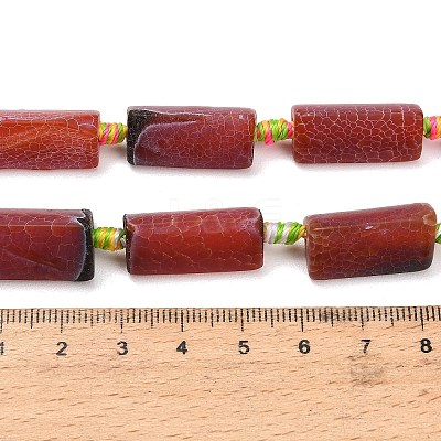 Natural Weathered Agate Beads Strands G-A321-F02-01C-1