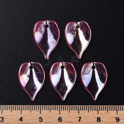 Transparent Acrylic Beads MACR-S373-103-C05-1