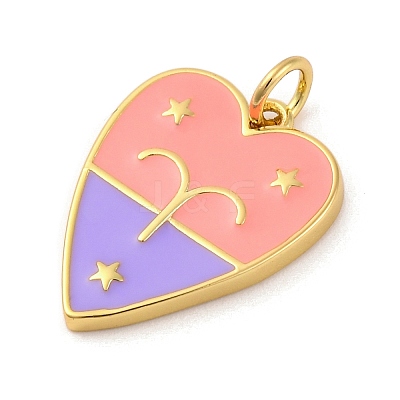 Brass Enamel Pendants KK-Z077-01G-04-1