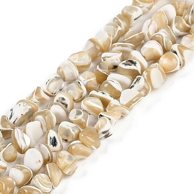 Natural Trochus Shell Beads Strands BSHE-H109-10-1
