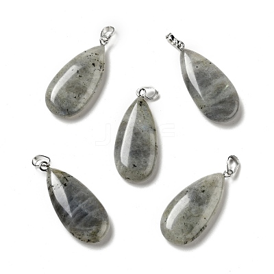 Natural Labradorite Pendants G-P474-01P-07-1