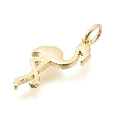 Brass Pendants KK-C255-20G-1