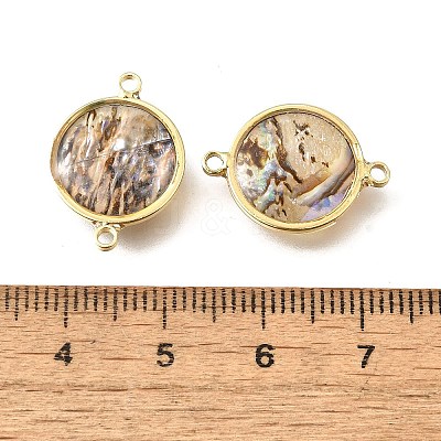 Brass Pave Natural Paua Shell Connector Charms KK-E794-01G-02-1