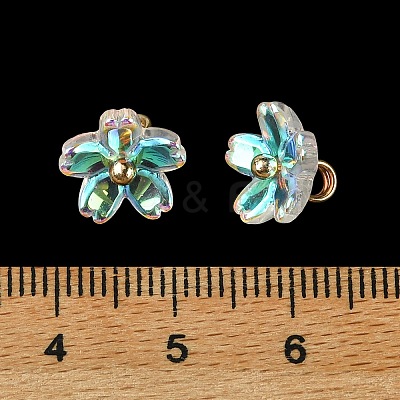 Alloy Acrylic Pendants TACR-P016-01G-09-1