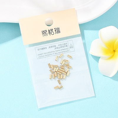 SHEGRACE Brass Tube Beads XGRPCP415-250G-1
