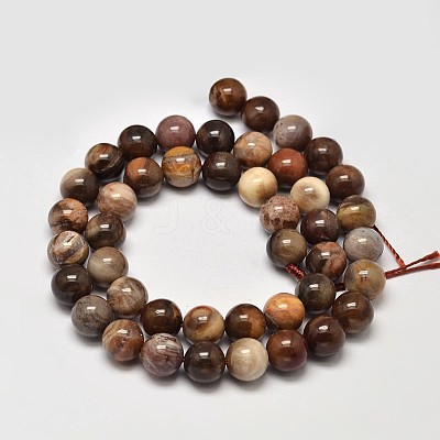 Natural Petrified Wood Round Bead Strands X-G-F266-08-8mm-1