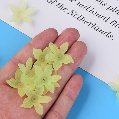 Transparent Acrylic Beads MACR-S373-127-D06-1
