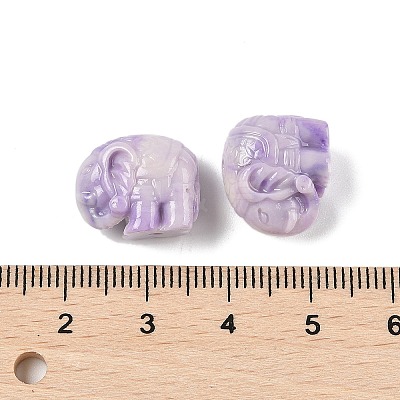 Synthetic Shell Dyed Carved Beads SHEL-K007-17-1