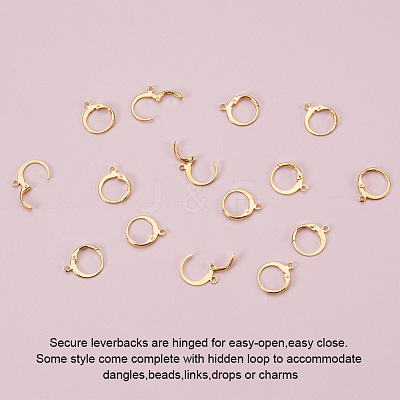 304 Stainless Steel Leverback Earring Findings A-STAS-G081-62G-1