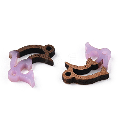 Opaque Resin & Walnut Wood Connector Charms RESI-N039-46G-1