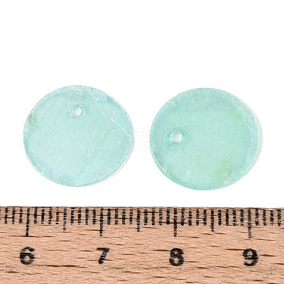 Spray Painted Natural Capiz Shell Disc Charms X1-BSHE-T014-02D-1