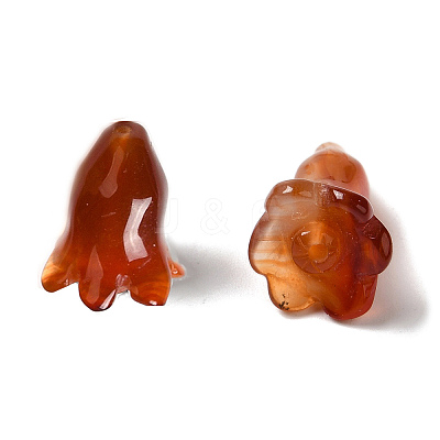 Natural Carnelian Beads G-C054-09F-1