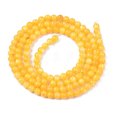 Natural Freshwater Shell Beads Strands BSHE-T009A-01I-1