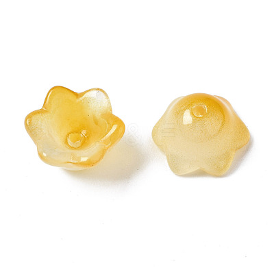 Transparent Two Tone Spray Painted Glass Beads GLAA-Q089-002B-009-1
