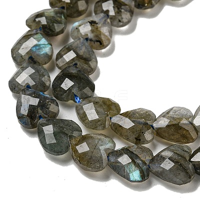 Natural Labradorite Beads Strands G-P544-E01-01-1