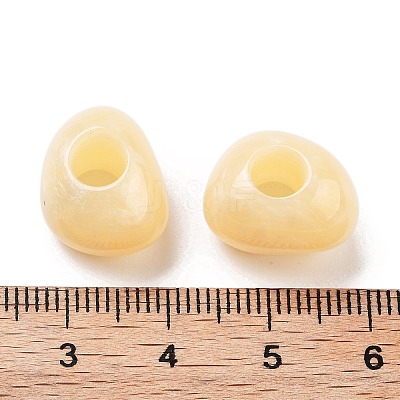 Resin European Beads RESI-Z030-03F-1