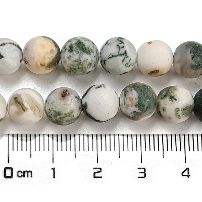 Natural Tree Agate Frosted Agate Round Gemstone Beads Strands G-O151-01-8mm-1