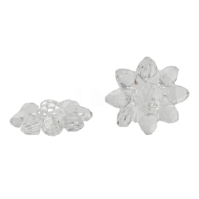 Transparent Acrylic Beads X-TACR-491-01-1