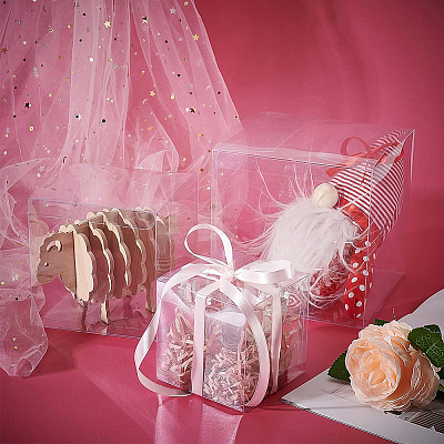 Transparent Plastic PET Box Gift Packaging CON-WH0052-12x12cm-1