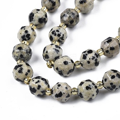 Natural Dalmatian Jasper Beads Strands X-G-N326-100-02-1