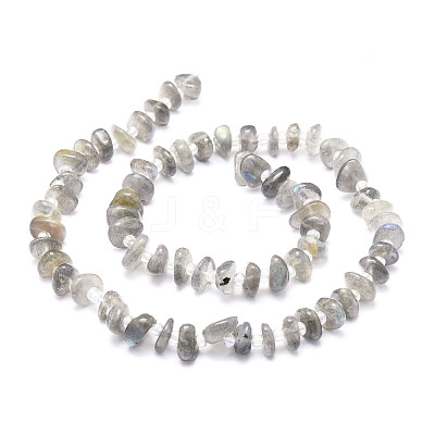 Natural Labradorite Beads Strands G-E569-J08-1