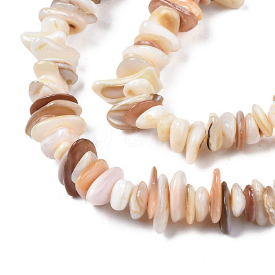 Natural Freshwater Shell Beads Strands SHEL-S278-071D-1