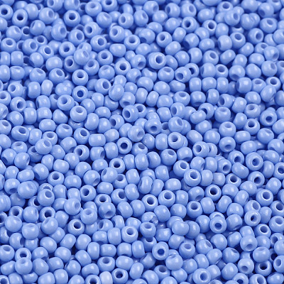 11/0 FGB Grade A Baking Paint Glass Seed Beads X-SEED-N001-A-1022-1