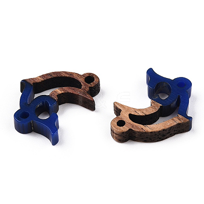 Opaque Resin & Walnut Wood Connector Charms RESI-N039-46B-1