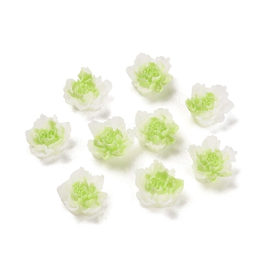 Luminous Resin Decoden Cabochons LS-RESI-K036-06F-02-1