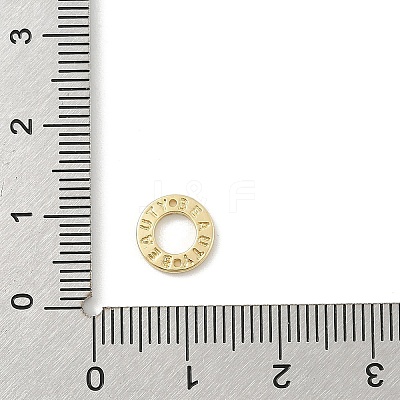 Brass Connector Charms KK-E791-23G-1