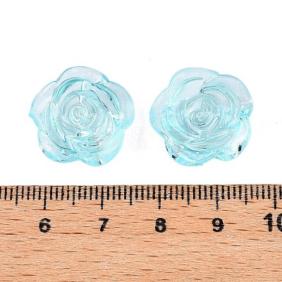 Transparent Acrylic Beads OACR-N137-32B-1