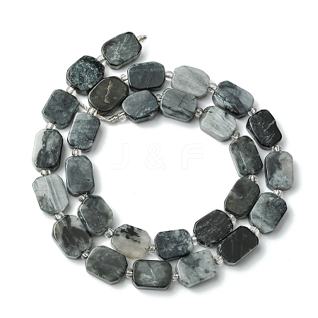 1 Strand Natural Eagle Eye Stone Beads Strands G-YW0002-79-1