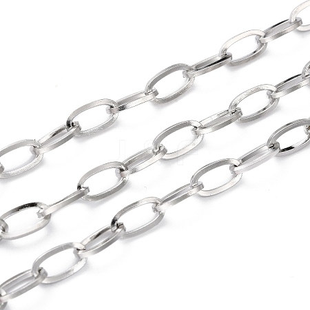 Tarnish Resistant 304 Stainless Steel Paperclip Chain CHS-H031-06P-1