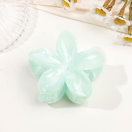 Plastic Claw Hair Clips for Women Girls PW-WGB2E8F-01-1