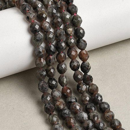Natural Syenite Beads Strands G-K376-F09-01-1