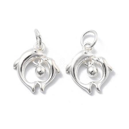 925 Sterling Silver Charms STER-D302-05B-S-1