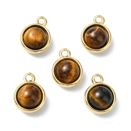 Natural Tiger Eye Charms STAS-L080-009G-07-1