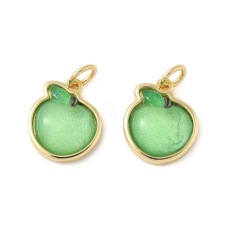 Brass Resin Charms KK-C110-24E-G-1