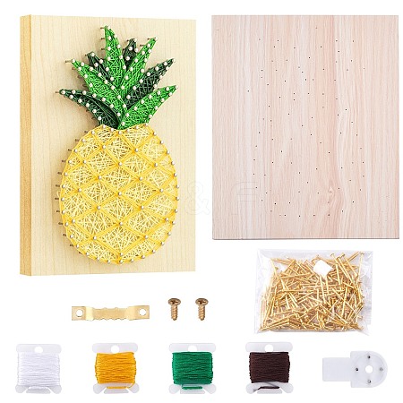 Pineapple Winding Drawing Sets DIY-WH0188-24-1