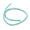 Dyed Natural Freshwater Shell Beads Strands BSHE-G039-07C-2