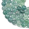 Natural Green Fluorite Beads Strands G-K340-A03-10mm-01-4