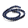 Natural Sodalite Round Bead Strands X-G-P072-27-6mm-3