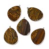 Natural Tiger Eye Pendants G-K347-02G-03-1