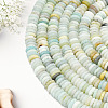 1 Strand Frosted Natural Flower Amazonite Beads Strands G-PA0001-63-7