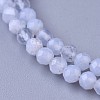 Natural Blue Lace Agate Beaded Necklaces NJEW-K114-B-A08-2