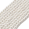 Electroplated Shell Pearl Beads Strands BSHE-K017-5mm-01-1