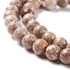 Natural Maifanite/Maifan Stone Beads Strands G-P451-01B-B-4